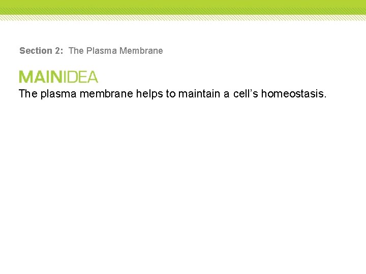 Section 2: The Plasma Membrane The plasma membrane helps to maintain a cell’s homeostasis.