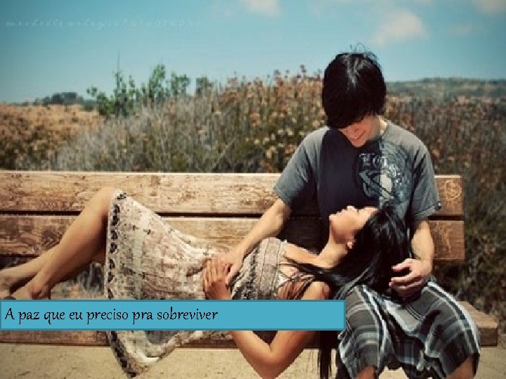 A paz que eu preciso pra sobreviver 