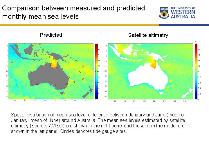 Comparison between measured and predicted monthly mean sea levels Predicted Satellite altimetry Spatial distribution