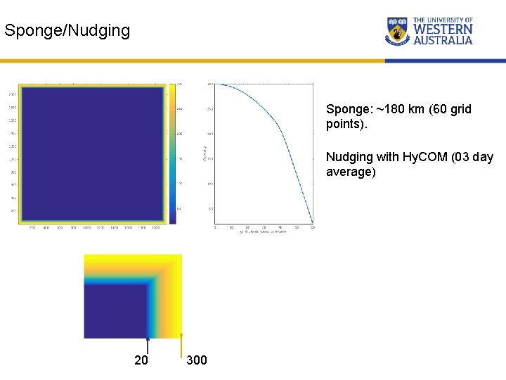 Sponge/Nudging Sponge: ~180 km (60 grid points). Nudging with Hy. COM (03 day average)