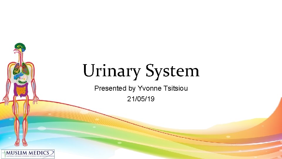 Urinary System Presented by Yvonne Tsitsiou 21/05/19 