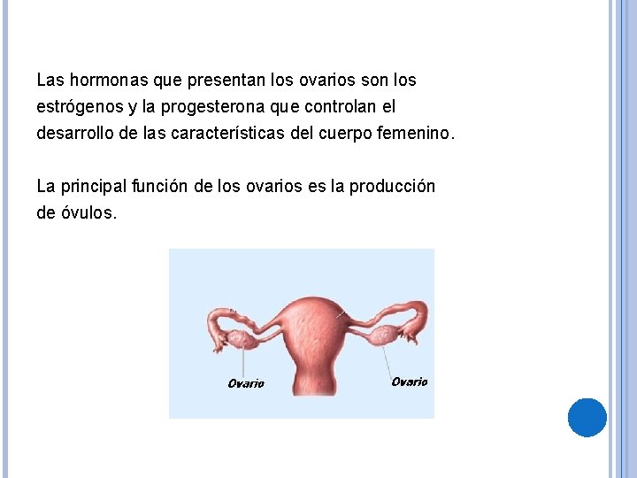 Las hormonas que presentan los ovarios son los estrógenos y la progesterona que controlan