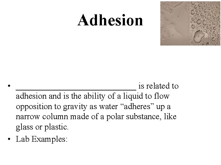 Adhesion • ______________ is related to adhesion and is the ability of a liquid