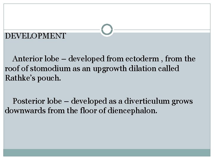 DEVELOPMENT Anterior lobe – developed from ectoderm , from the roof of stomodium as