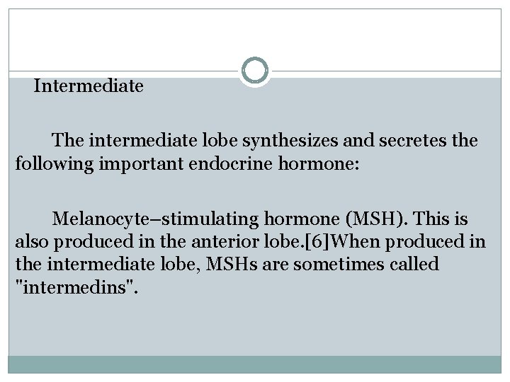 Intermediate The intermediate lobe synthesizes and secretes the following important endocrine hormone: Melanocyte–stimulating hormone