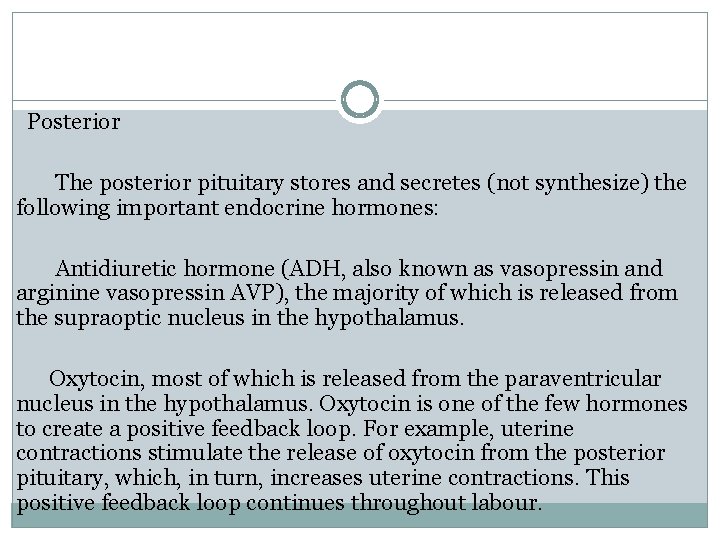 Posterior The posterior pituitary stores and secretes (not synthesize) the following important endocrine hormones: