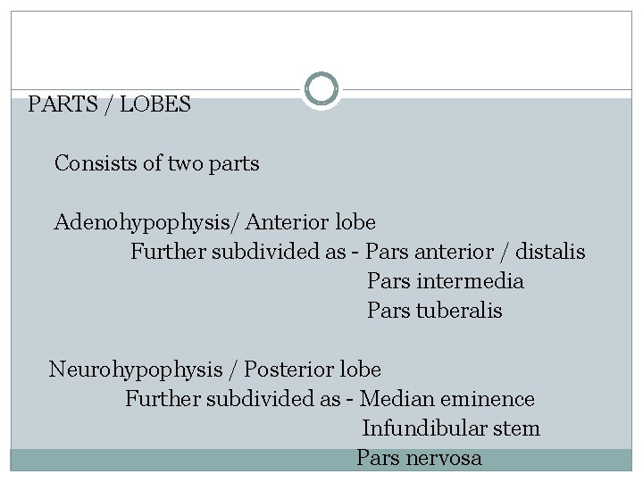 PARTS / LOBES Consists of two parts Adenohypophysis/ Anterior lobe Further subdivided as -