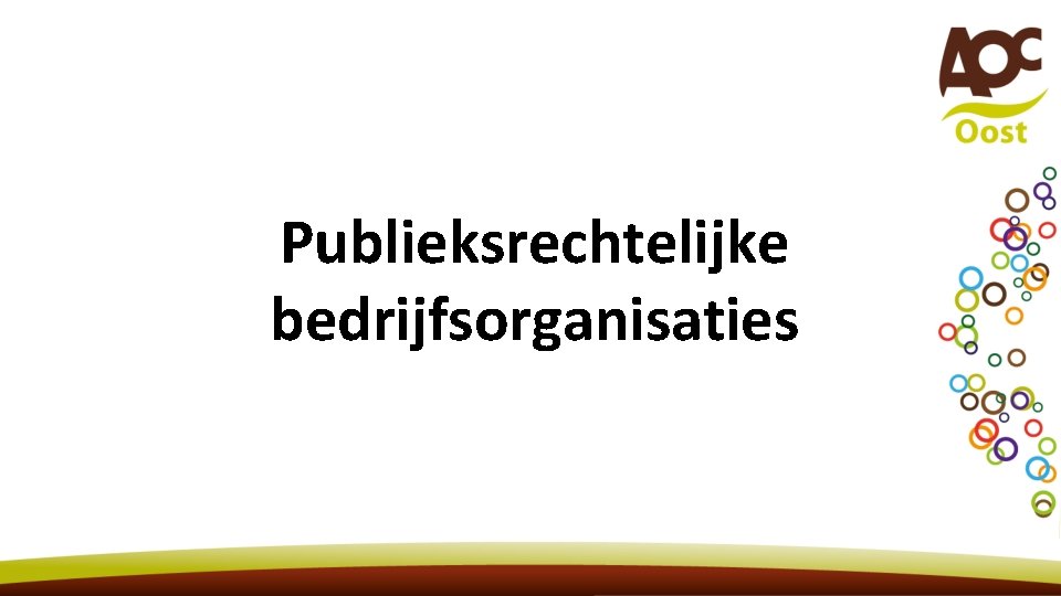 Publieksrechtelijke bedrijfsorganisaties 