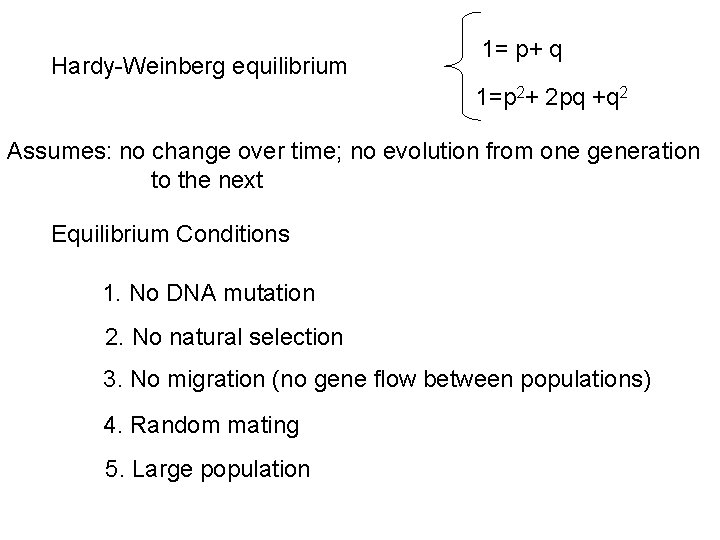Hardy-Weinberg equilibrium 1= p+ q 1=p 2+ 2 pq +q 2 Assumes: no change