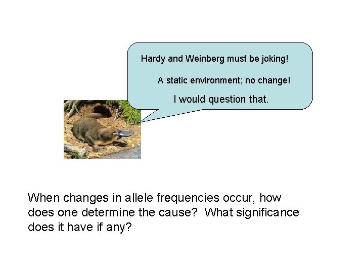 Hardy and Weinberg must be joking! A static environment; no change! I would question