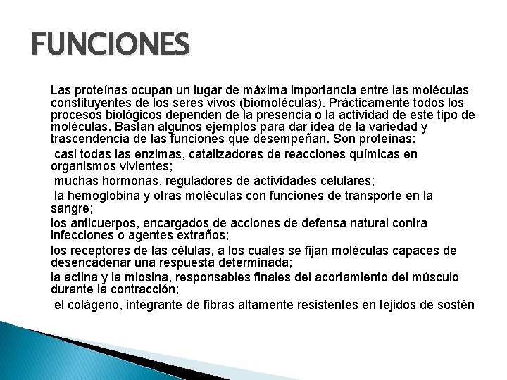 FUNCIONES Las proteínas ocupan un lugar de máxima importancia entre las moléculas constituyentes de