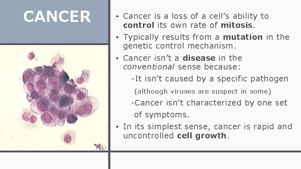 CANCER • Cancer is a loss of a cell’s ability to control its own