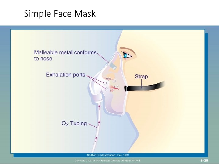 Simple Face Mask 