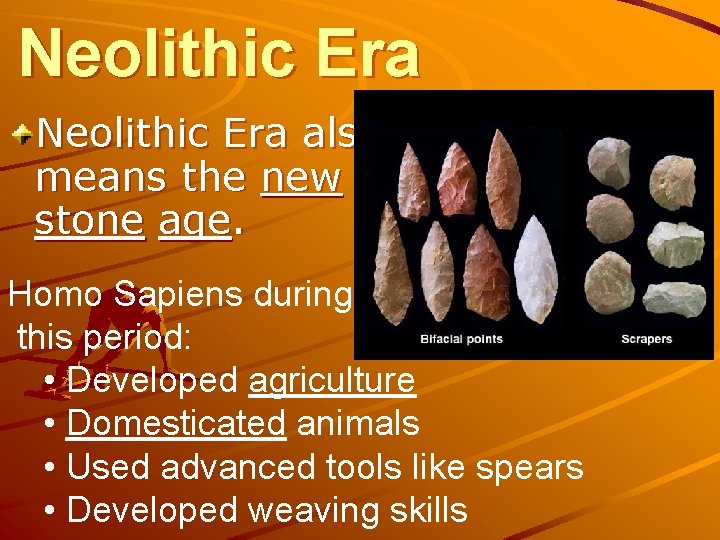 Neolithic Era also means the new stone age. Homo Sapiens during this period: •