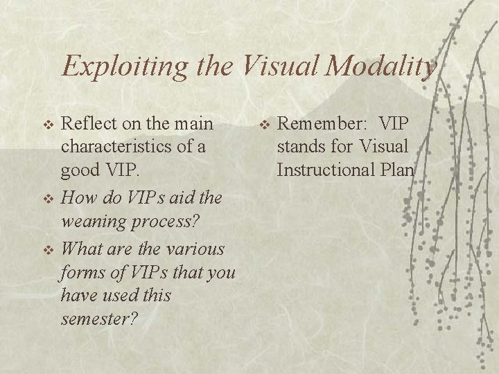 Exploiting the Visual Modality v v v Reflect on the main characteristics of a