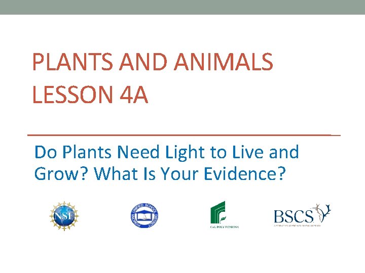 PLANTS AND ANIMALS LESSON 4 A Do Plants