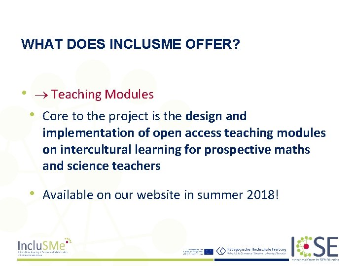 WHAT DOES INCLUSME OFFER? • Teaching Modules • Core to the project is the