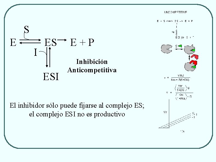 S E I ES ESI E+P Inhibición Anticompetitiva El inhibidor sólo puede fijarse al