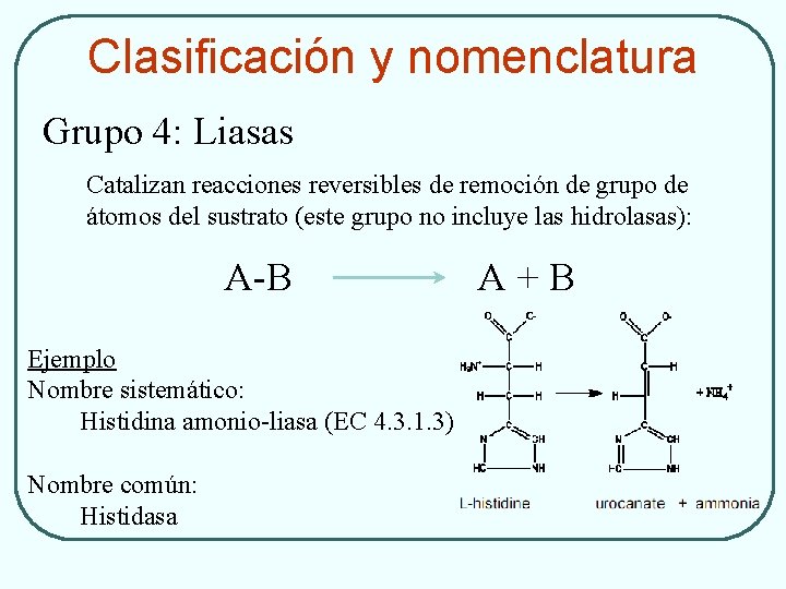Clasificación y nomenclatura Grupo 4: Liasas Catalizan reacciones reversibles de remoción de grupo de