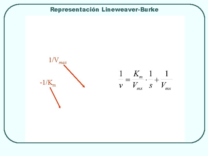 Representación Lineweaver-Burke 1/Vmax -1/Km 