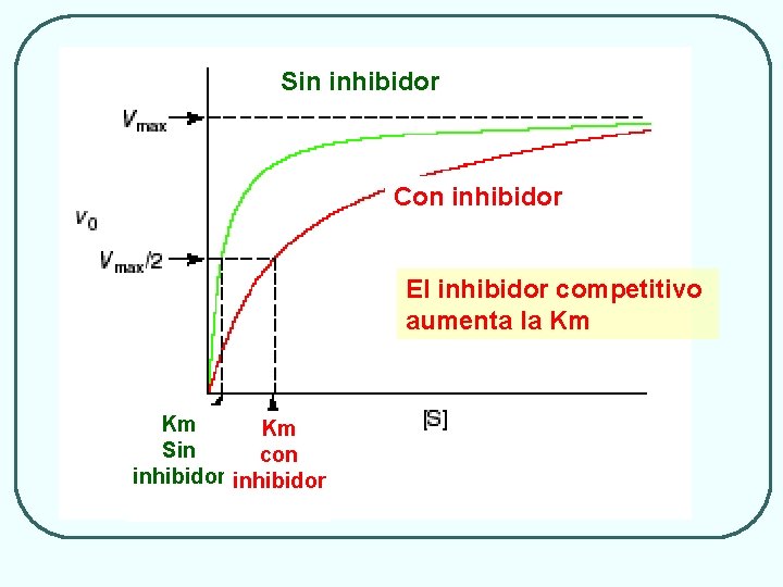 Sin inhibidor Con inhibidor El inhibidor competitivo aumenta la Km Km Km Sin con