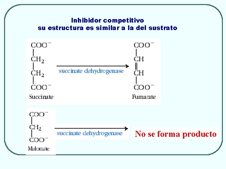 Inhibidor competitivo su estructura es similar a la del sustrato No se forma producto