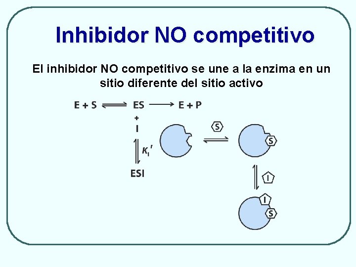 Inhibidor NO competitivo El inhibidor NO competitivo se une a la enzima en un