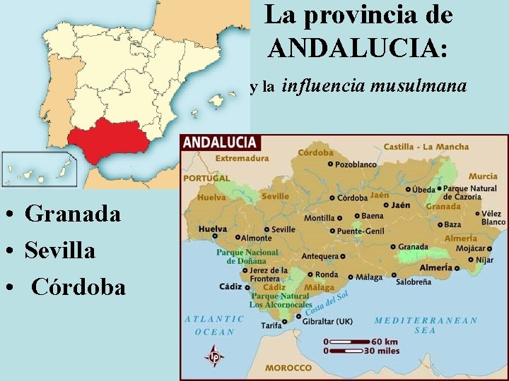 La provincia de ANDALUCIA: y la influencia musulmana • Granada • Sevilla • Córdoba