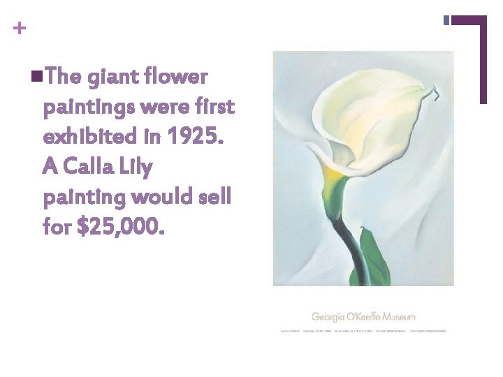 + n. The giant flower paintings were first exhibited in 1925. A Calla Lily