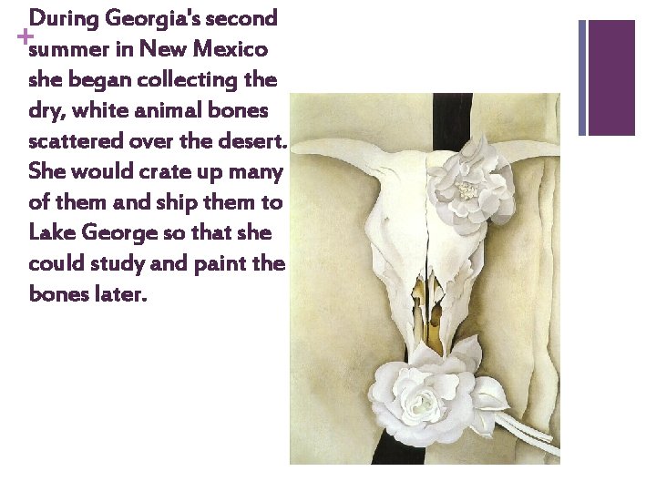 During Georgia's second +summer in New Mexico she began collecting the dry, white animal