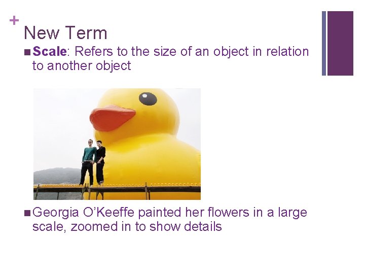 + New Term n Scale: Refers to the size of an object in relation