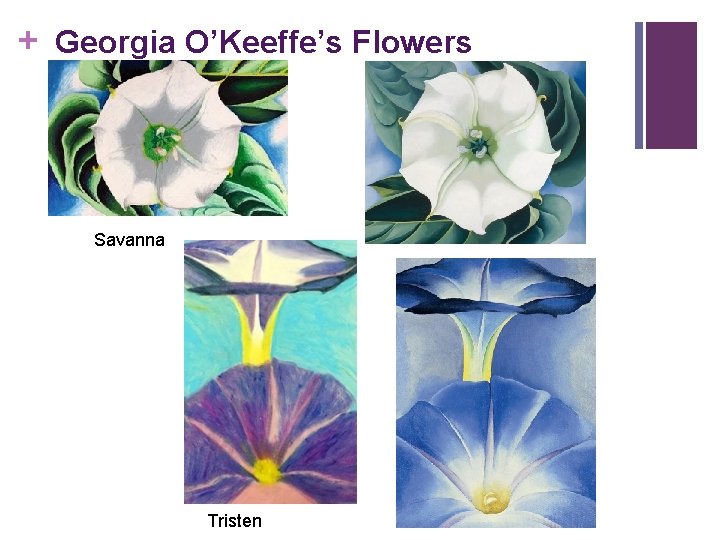 + Georgia O’Keeffe’s Flowers Savanna Tristen 
