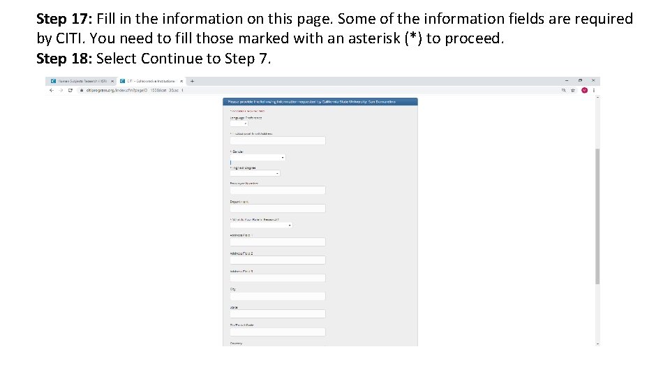 Step 17: Fill in the information on this page. Some of the information fields