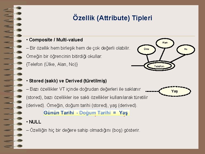 Özellik (Attribute) Tipleri • Composite / Multi-valued – Bir özellik hem birleşik hem de