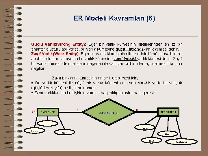 ER Modeli Kavramları (6) Güçlü Varlık(Strong Entity): Eger bir varlık kümesinin niteliklerinden en az