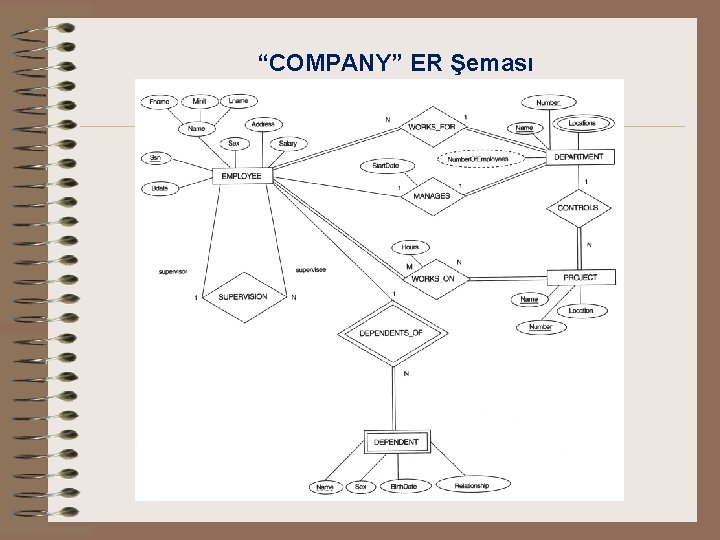 “COMPANY” ER Şeması 