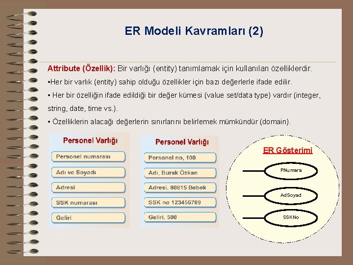 ER Modeli Kavramları (2) Attribute (Özellik): Bir varlığı (entity) tanımlamak için kullanılan özelliklerdir. •