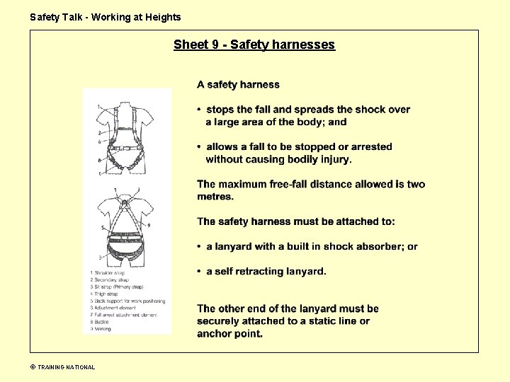 Safety Talk - Working at Heights Sheet 9 - Safety harnesses TRAINING NATIONAL 