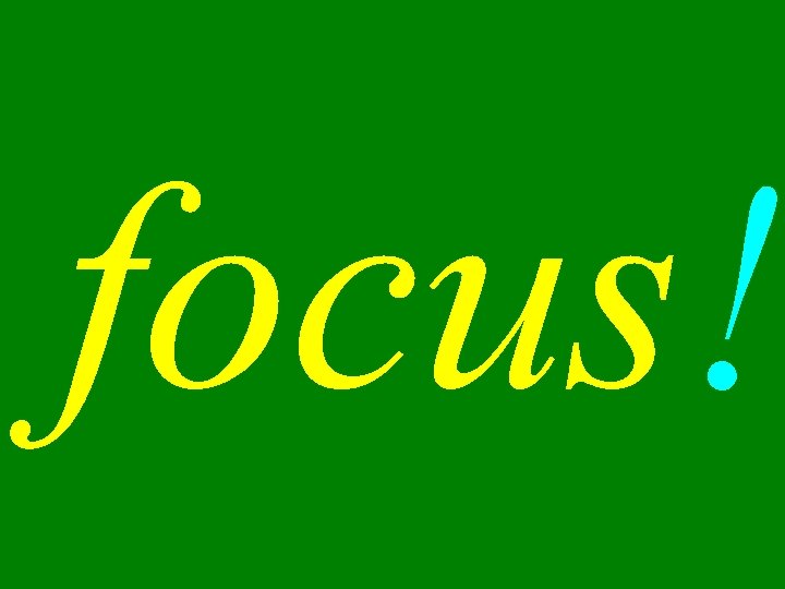 focus! focus!
