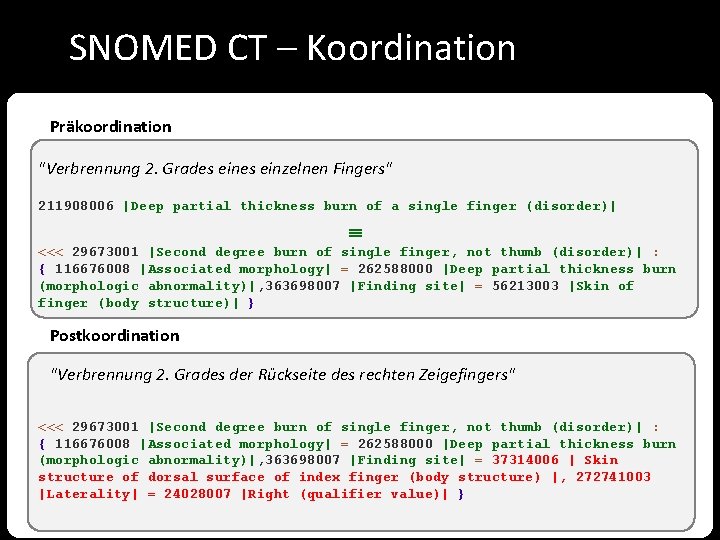 SNOMED CT – Koordination Präkoordination "Verbrennung 2. Grades einzelnen Fingers" 211908006 |Deep partial thickness