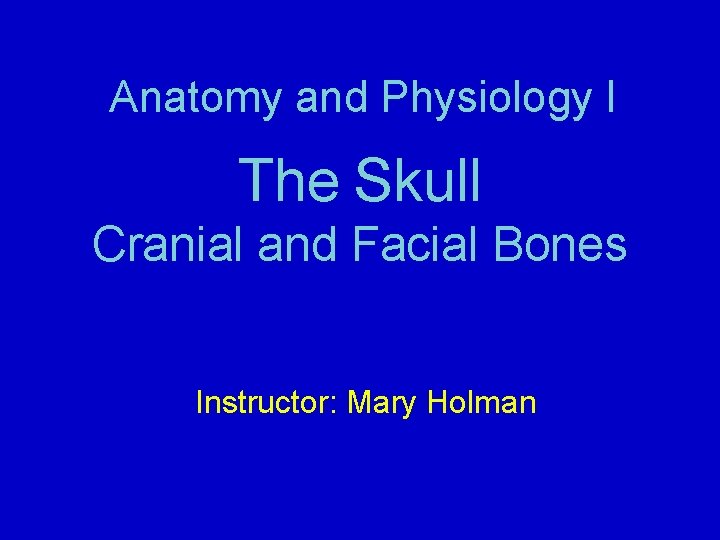 Anatomy and Physiology I The Skull Cranial and Facial Bones Instructor: Mary Holman 