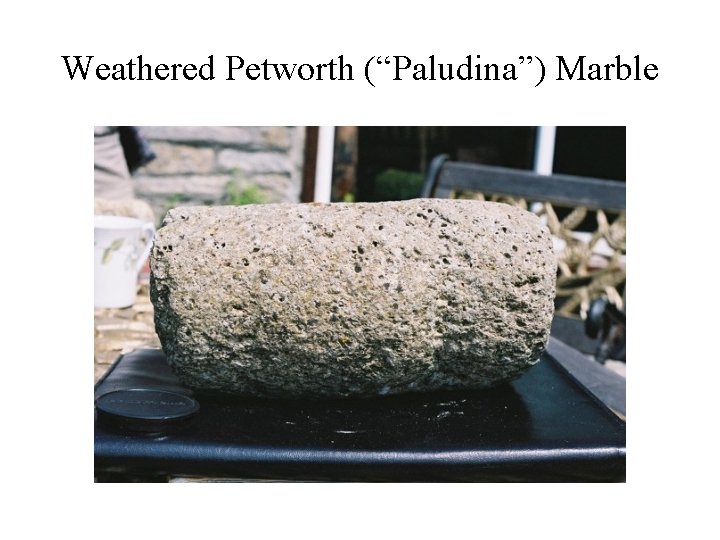 Weathered Petworth (“Paludina”) Marble 