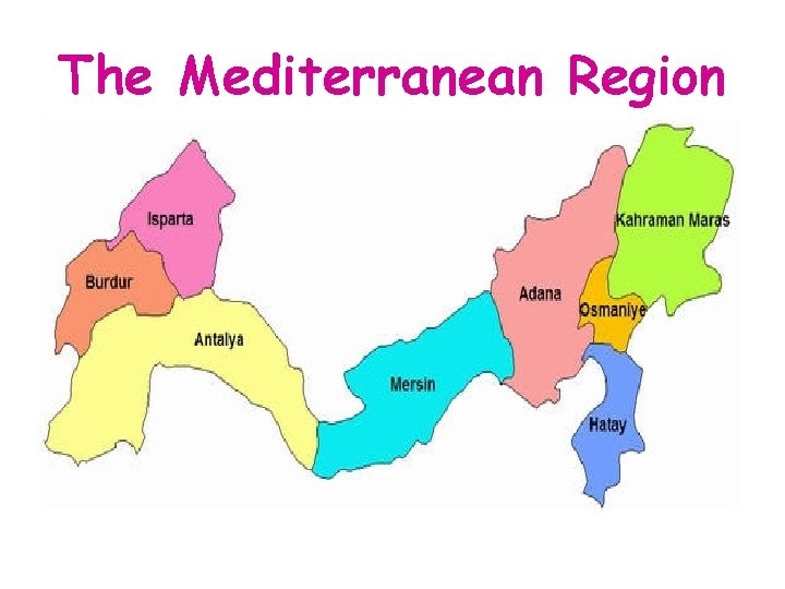 The Mediterranean Region 