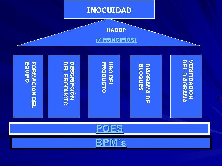 INOCUIDAD HACCP (7 PRINCIPIOS) VERIFICACIÓN DEL DIAGRAMA DE BLOQUES USO DEL PRODUCTO DESCRIPCIÓN DEL