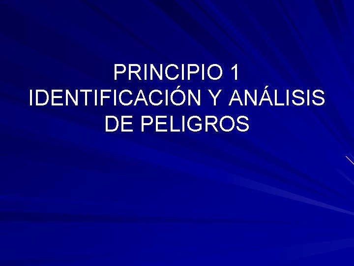 PRINCIPIO 1 IDENTIFICACIÓN Y ANÁLISIS DE PELIGROS 