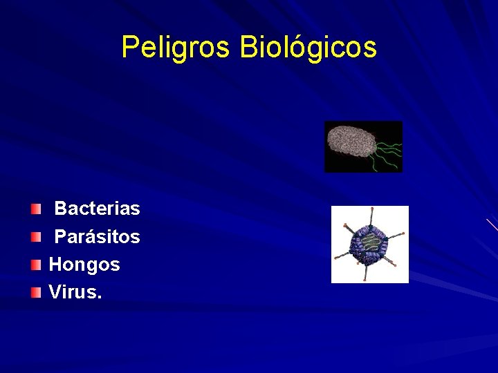 Peligros Biológicos Bacterias Parásitos Hongos Virus. 