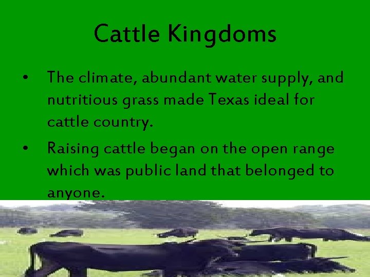 Cattle Kingdoms • The climate, abundant water supply, and nutritious grass made Texas ideal