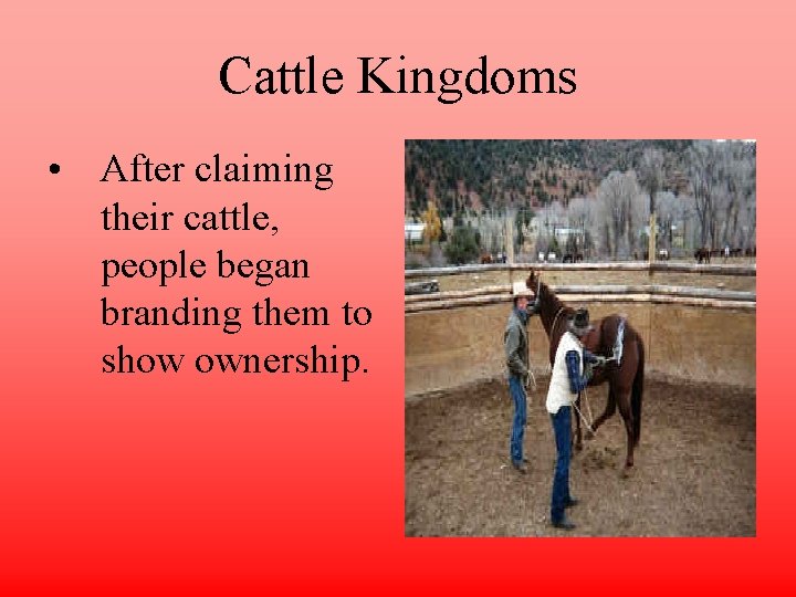 Cattle Kingdoms • After claiming their cattle, people began branding them to show ownership.