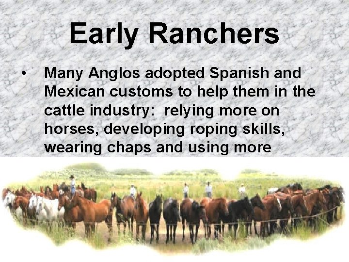 Early Ranchers • Many Anglos adopted Spanish and Mexican customs to help them in