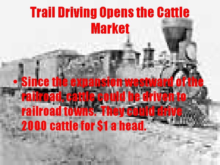 Trail Driving Opens the Cattle Market • Since the expansion westward of the railroad,